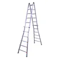 Waku Waku multi-position ladder 4x6