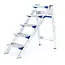 Little Jumbo Apo Jumbo 5 stage folding step