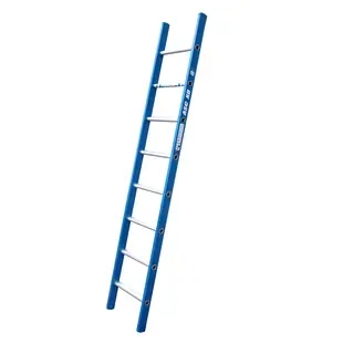 ASC single ladder 1x8 rungs