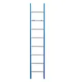 ASC ASC enkele ladder recht 1x8 sporten