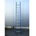 ASC ASC single ladder 1x10 rungs