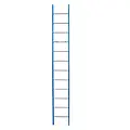 ASC ASC single ladder 1x12 rungs
