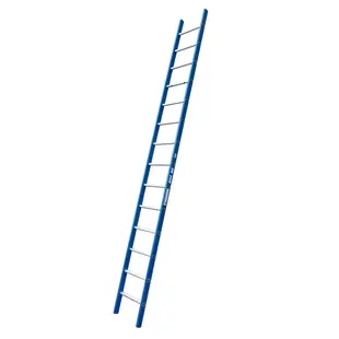 ASC single ladder 1x14 rungs