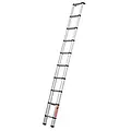 Telesteps Telesteps Eco Line telescopic ladder 3 m
