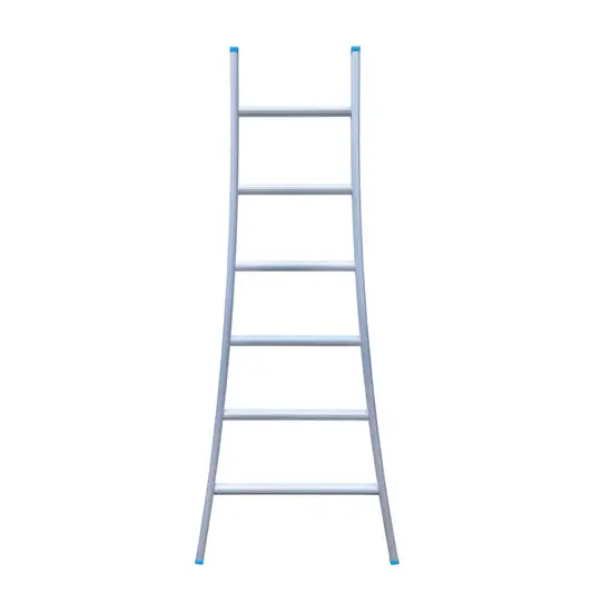 Eurostairs Echelle simple évasée 6 échelons SuperPro 175 cm