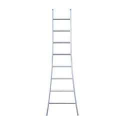 SuperPro single ladder 8 rungs 225 cm