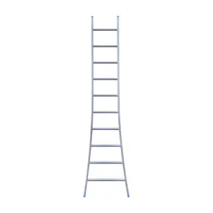 SuperPro single ladder 10 rungs 275 cm