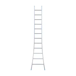 Eurostairs enkele ladder uitgebogen 12 sporten 325 cm