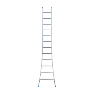 SuperPro single ladder 12 rungs 325 cm