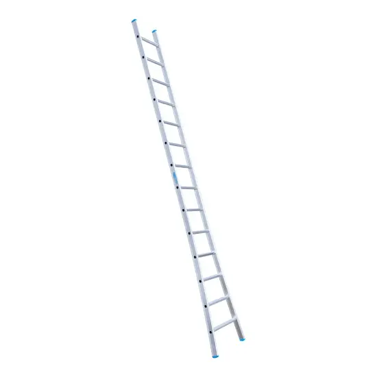 Eurostairs Eurostairs enkele ladder uitgebogen 14 sporten 375 cm