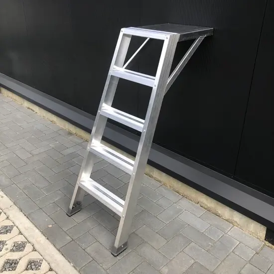 ASC ASC jointer plasterer 5 tread stepladder