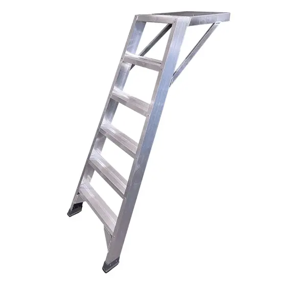 ASC ASC jointer plasterer 6 tread stepladder