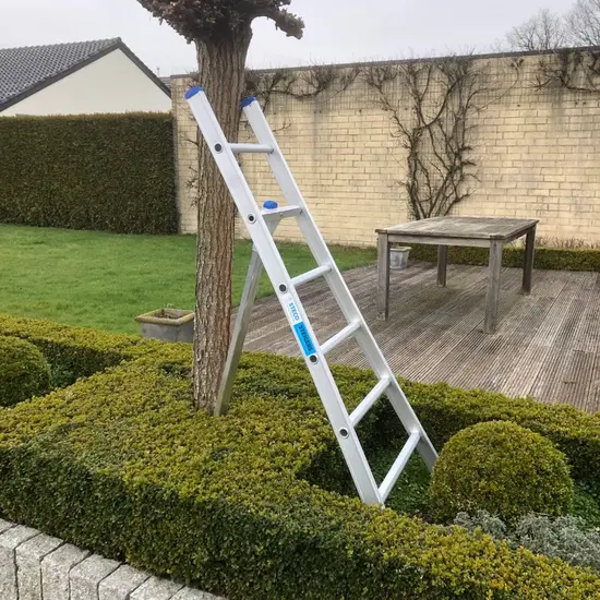 Solide Solide 6 rung pruning ladder G06