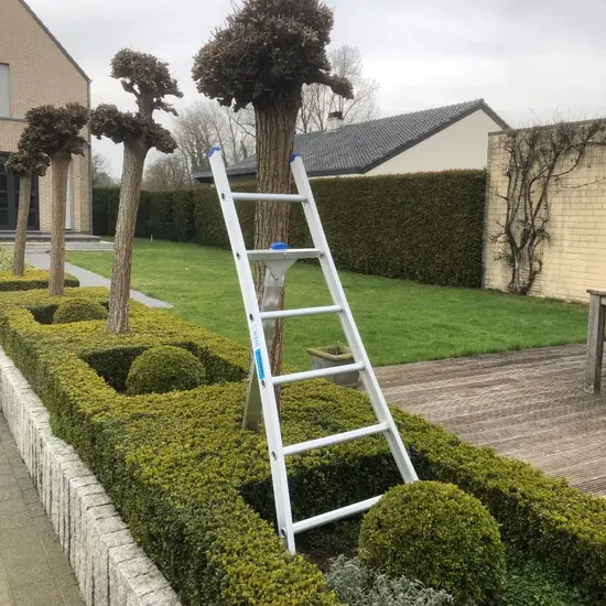 Solide Solide 6 rung pruning ladder