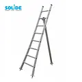 Solide Solide 8 rung pruning ladder