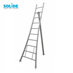 Solide 10 rung pruning ladder