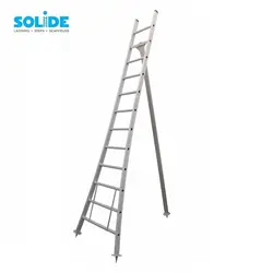 Solide 12 rung pruning ladder