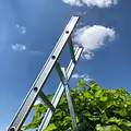 Solide Solide 14 rung pruning ladder