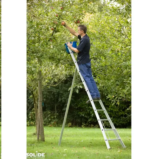 Solide Solide 14 rung pruning ladder