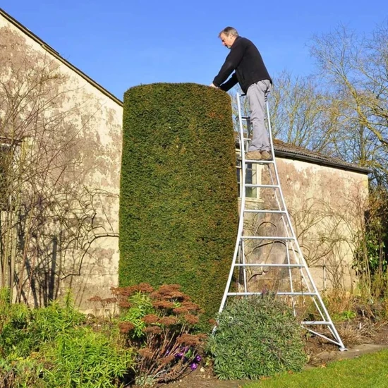 Henchman Henchman echelle trépied 300 cm avec plate-forme et 3 pieds réglables