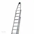 Solide Solide window cleaning ladder 3x12 rungs
