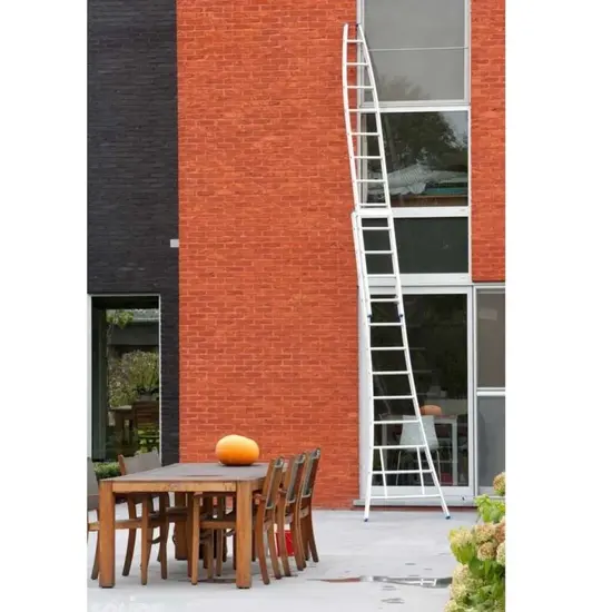 Solide Solide window cleaner ladder 2x10 rungs