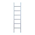 Eurostairs Eurostairs enkele ladder recht 6 sporten 175 cm