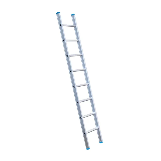 Eurostairs SuperPro single aluminium ladder 8 rungs 225 cm