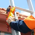 Lock Jaw ladder grip