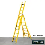Staltor Staltor kunststof ladder 3x10 sporten T3G10 OB