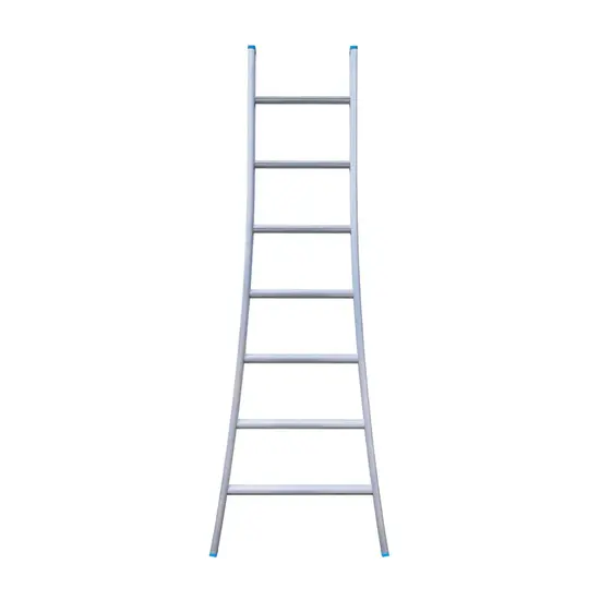 Eurostairs Échelle simple évasée 7 échelons Eurostairs 200 cm