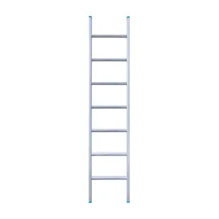 Eurostairs enkele ladder recht 7 sporten 200 cm