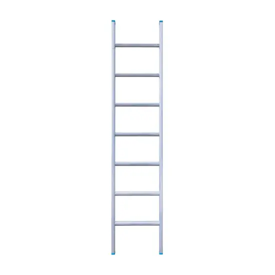 Eurostairs Eurostairs enkele ladder recht 7 sporten 200 cm