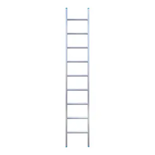 Eurostairs enkele ladder recht 9 sporten 250 cm