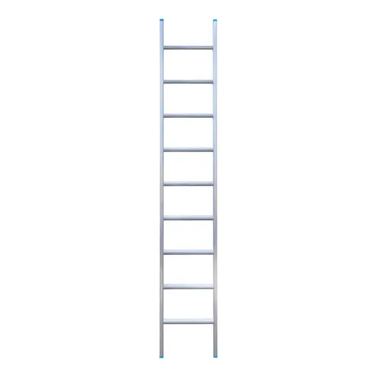 Eurostairs Eurostairs enkele ladder recht 9 sporten 250 cm