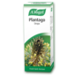 Bioforce Uk A Vogel Plantago, 50ml