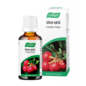 A Vogel Uva Ursi 50ml