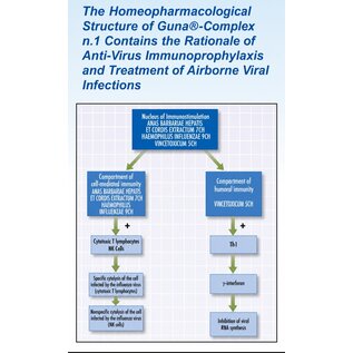 Homeopathic Guna Complex N1