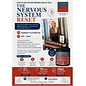 'The Nervous System Reset' with Alicia Brear Wednesday 7th October 6pm - 7.30pm