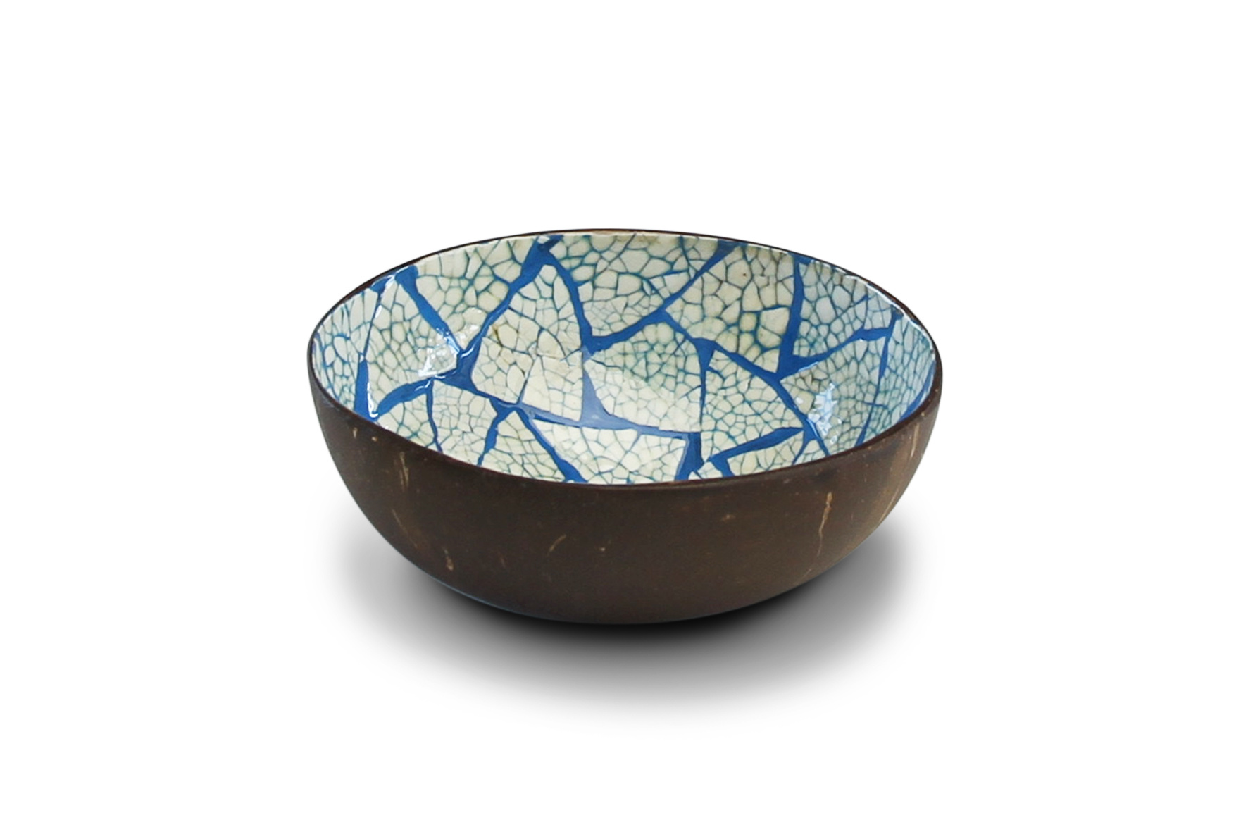 Coconut Bowl 'Blue Eggshell'