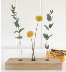 Houten plankje met 3 vaasjes
