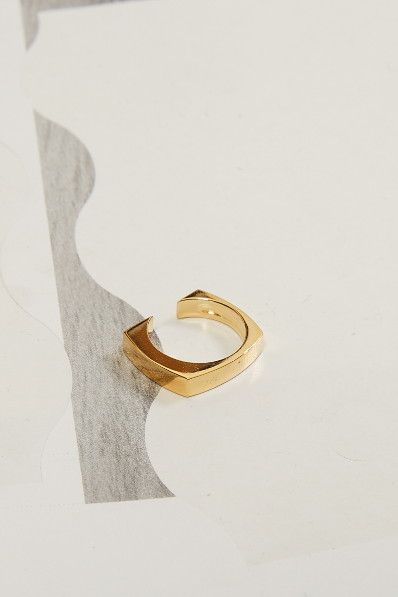  - Swash ring