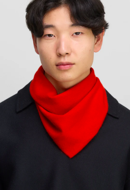 Extreme cashmere - n°35 bandana scarf