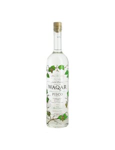  WAQAR PISCO