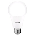 Avide LED Lamp Peer G60 8W E27 240° DL 6400K