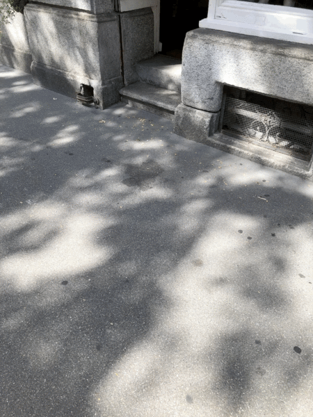 Cervo Volante goes walking