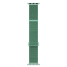 xoxo Wildhearts xoxo Wildhearts Apple Watch nylon bandje (mintgroen) xoxo Wildhearts xoxo Wildhearts Apple Watch nylon bandje (mintgroen)