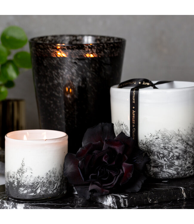 Apsley & Company Apsley and Company Eclipse Geurkaars 400 GRAM