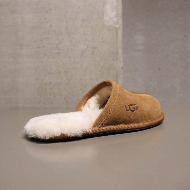 UGG Heren Scuff Chestnut