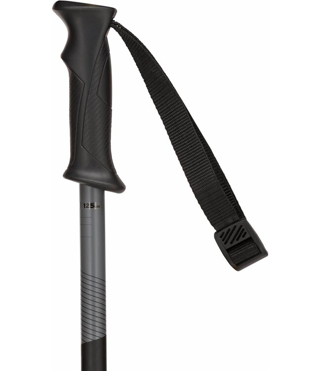 Rossignol Rossignol Tactic Skistok Zwart/Grijs